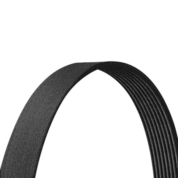 Dayco® - Drive Rite™ Serpentine Belt