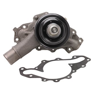 ACDelco 252-954 Professional Water Pump Kit