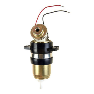 Delphi® - Fuel Pump and Strainer Set