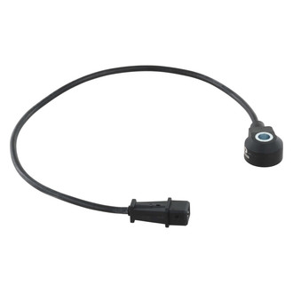 Delphi® - Ignition Knock Sensor