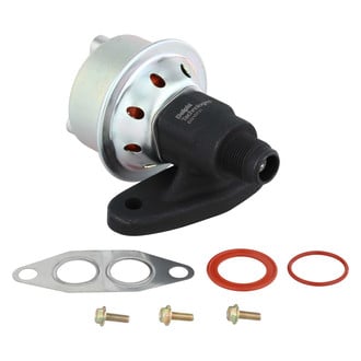 Delphi® - EGR Valve