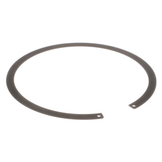 Delphi® - Fuel Tank Lock Ring
