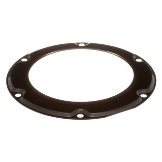 Delphi® - Fuel Tank Lock Ring