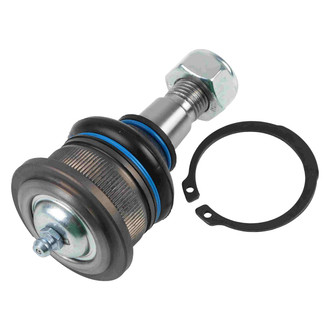 Delphi® - Front Lower Ball Joint