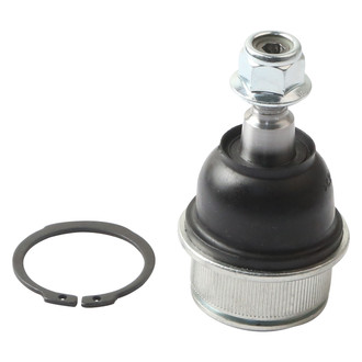 Delphi® - Front Lower Ball Joint