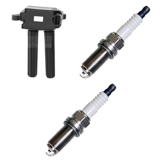 Denso® - Ignition Coil and Spark Plug Kit