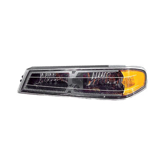 Depo® - Driver Side Replacement Turn Signal/Parking Light (Standard Line)
