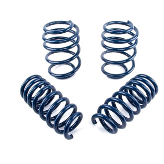 Dinan® - 1" x 1" Front and Rear Lowering Coil Springs