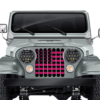 Dirty Acres® - 1-Pc Black and Hot Pink American Flag Style Perforated Main Grille