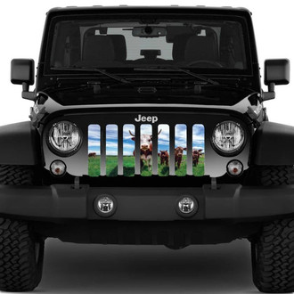 Dirty Acres® - 1-Pc Home on the Range Style Perforated Main Grille