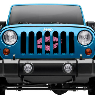 Dirty Acres® - 1-Pc Muah! Kiss Style Perforated Main Grille
