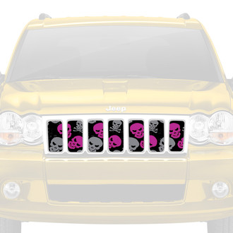 Dirty Acres® - 1-Pc Skulls Style Purple/Gray Perforated Main Grille