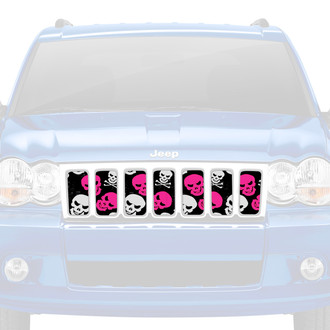 Dirty Acres® - 1-Pc Skulls Style Pink Perforated Main Grille