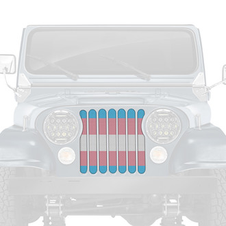 Dirty Acres® - 1-Pc Transgender Flag Style Perforated Main Grille