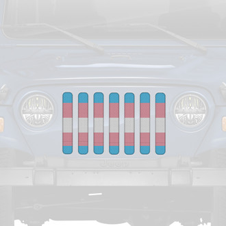 Dirty Acres® - 1-Pc Transgender Flag Style Perforated Main Grille
