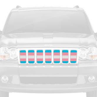 Dirty Acres® - 1-Pc Transgender Flag Style Perforated Main Grille