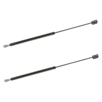 DIY Solutions® - Back Glass Lift Support Set