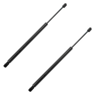 DIY Solutions® - Liftgate Lift Support Set
