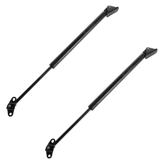 DIY Solutions® - Liftgate Lift Support Set