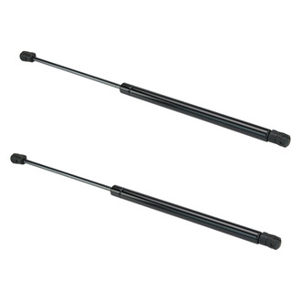 DIY Solutions® - Liftgate Lift Support Set