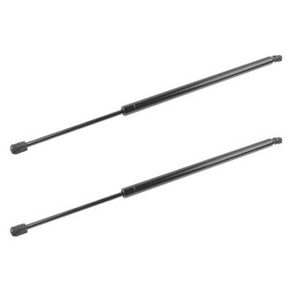 DIY Solutions® - Rear Liftgate Lift Support Set