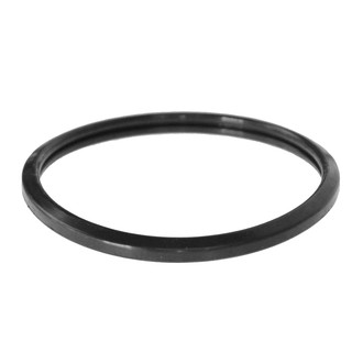 DIY Solutions® - Engine Coolant Thermostat Seal