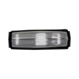 DIY Solutions® - Passenger Side License Plate Light