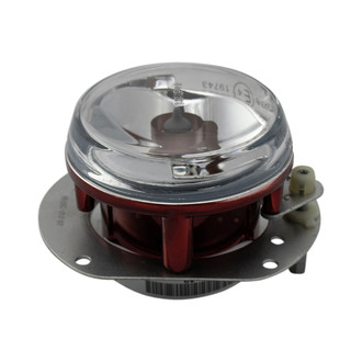 DIY Solutions® - Driver or Passenger Side Replacement Fog Light