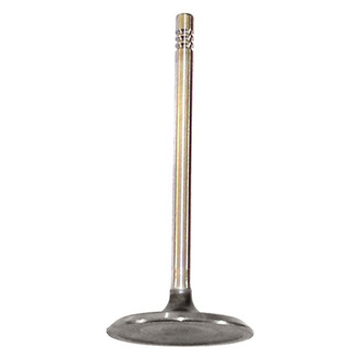 DNJ Engine Components® - Intake Valve