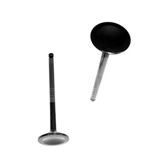 DNJ Engine Components® - Exhaust Valve