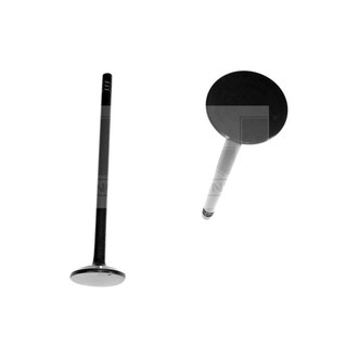DNJ Engine Components® - Exhaust Valve