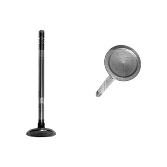 DNJ Engine Components® - Exhaust Valve