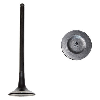 DNJ Engine Components® - Exhaust Valve