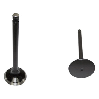 DNJ Engine Components® - Exhaust Valve