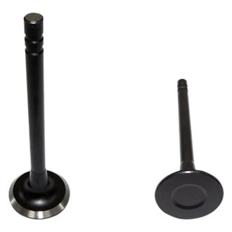 DNJ Engine Components® - Exhaust Valve