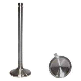DNJ Engine Components® - Exhaust Valve