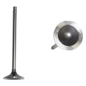 DNJ Engine Components® - Exhaust Valve