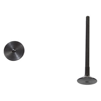 DNJ Engine Components® - Exhaust Valve