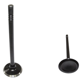 DNJ Engine Components® - Exhaust Valve