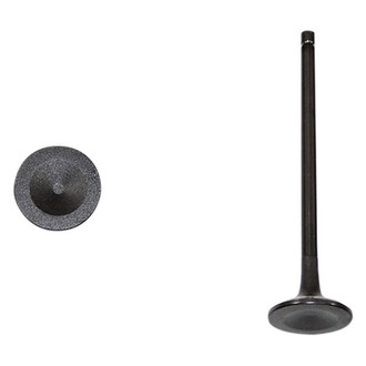 DNJ Engine Components® - Exhaust Valve
