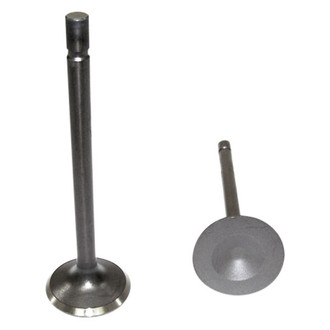DNJ Engine Components® - Exhaust Valve