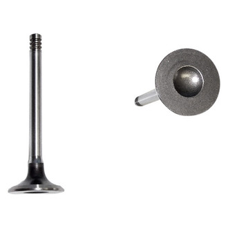 DNJ Engine Components® - Exhaust Valve