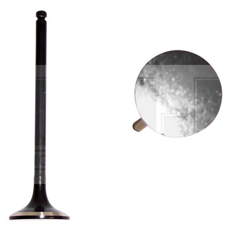 DNJ Engine Components® - Exhaust Valve