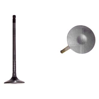 DNJ Engine Components® - Exhaust Valve
