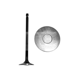 DNJ Engine Components® - Exhaust Valve