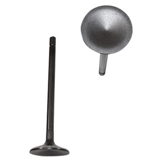 DNJ Engine Components® - Exhaust Valve