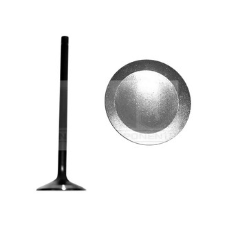 DNJ Engine Components® - Exhaust Valve