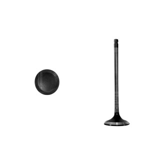 DNJ Engine Components® - Exhaust Valve