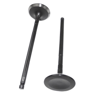 DNJ Engine Components® - Exhaust Valve