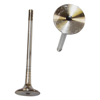 DNJ Engine Components® - Exhaust Valve